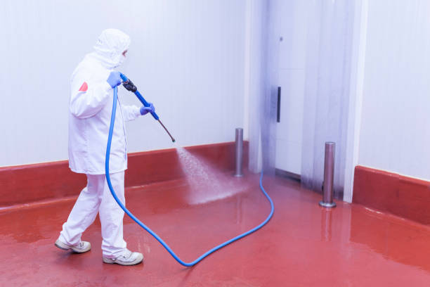 Paint Preparation in Crandon Lakes, NJ